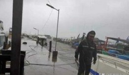 柬埔寨西港最新爆料视频,视频揭秘惊人内幕